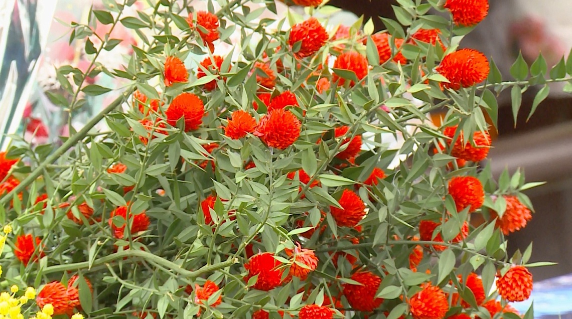 В Пензе начали продавать цветы к 8 Марта